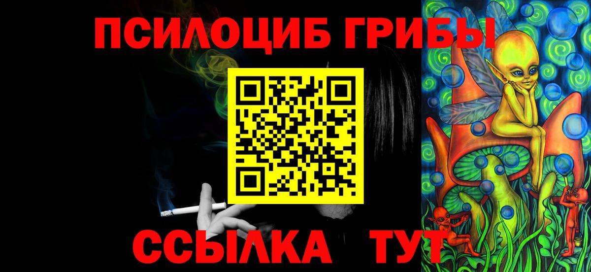 Ирбит  Галлюциногенные грибы Psilocybine cubensis  Вход с VPN 