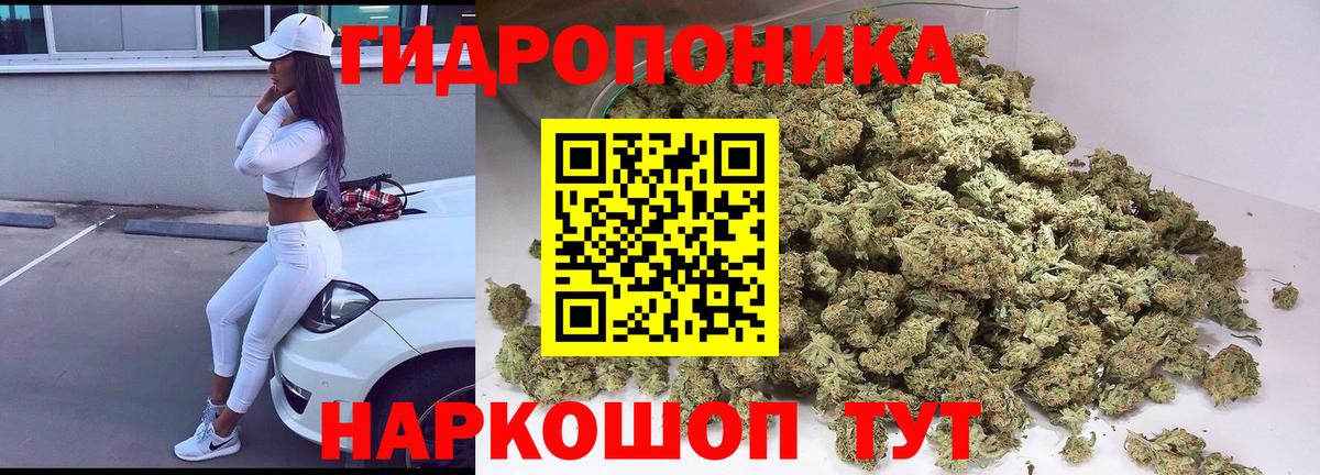 Марихуана план  Канабис сатива  Ирбит  Конопля Ganja  Вход с VPN  Конопля Bruce Banner 